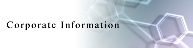 Corporate Information