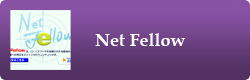 Net Fellow